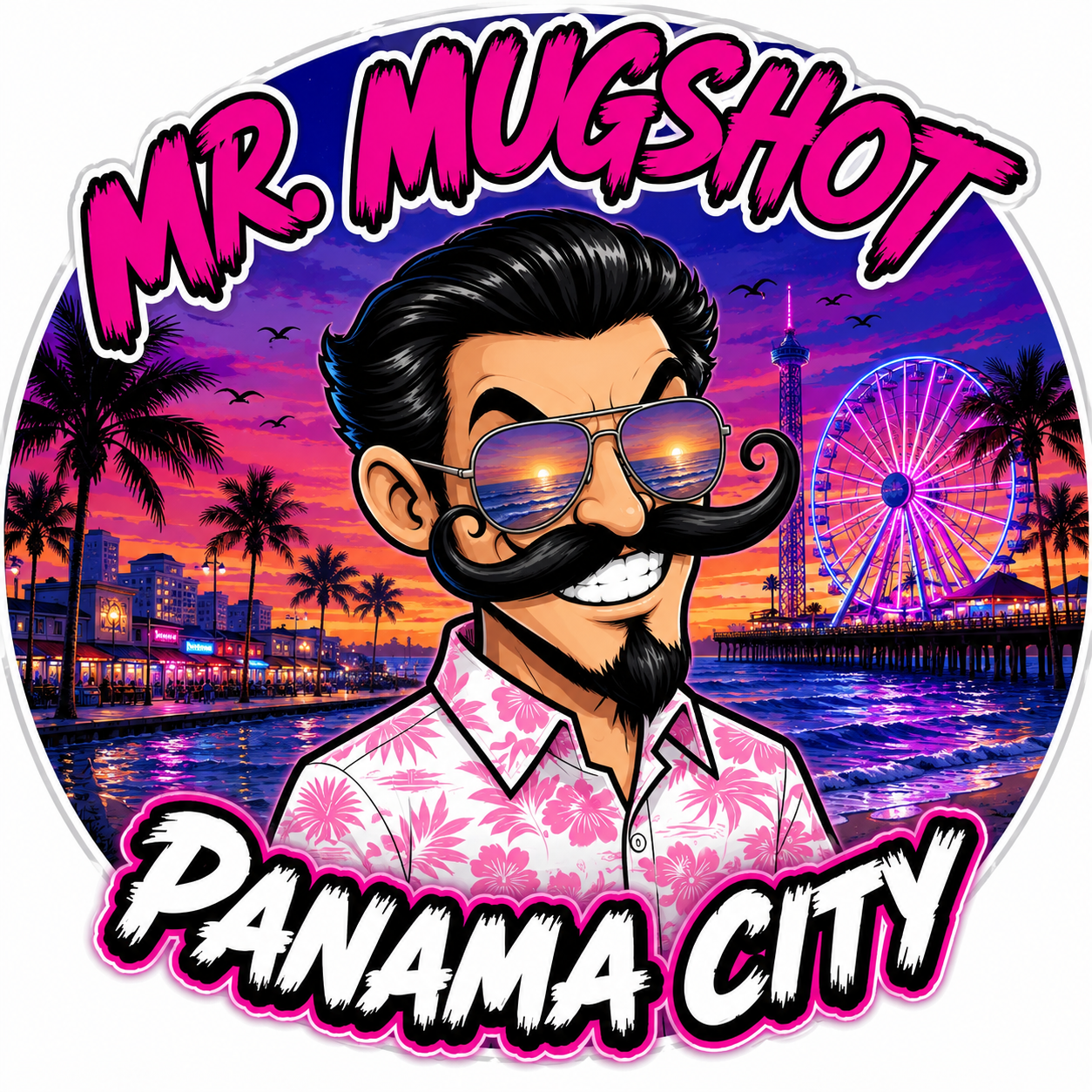 Mr. Mugshots Bay County branding